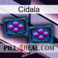 Cidala 03